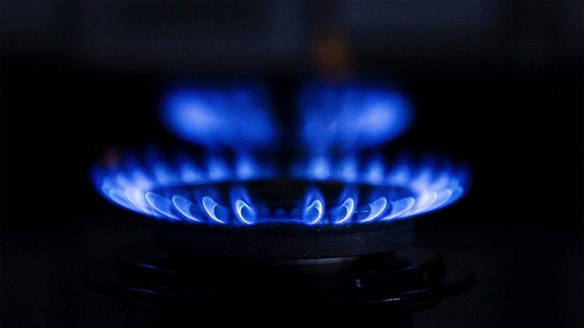 The price of natural gas increased 7 times in a year and the price of coal tripled in the world.