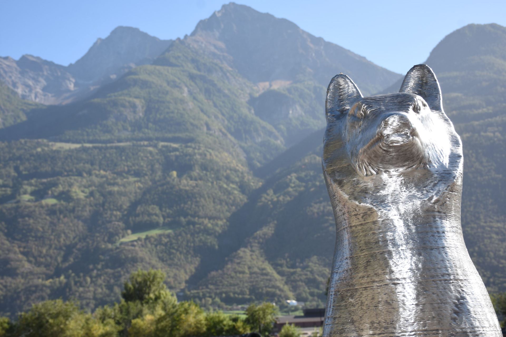 Wolf in steel : The power of sustainable art with cracking art