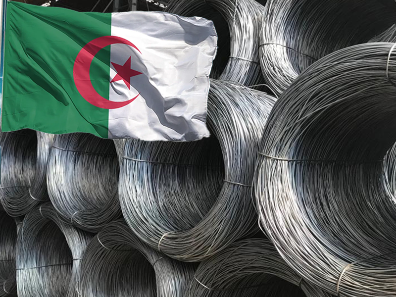 Algeria issues ban on import of specific steel products amid push for domestic production