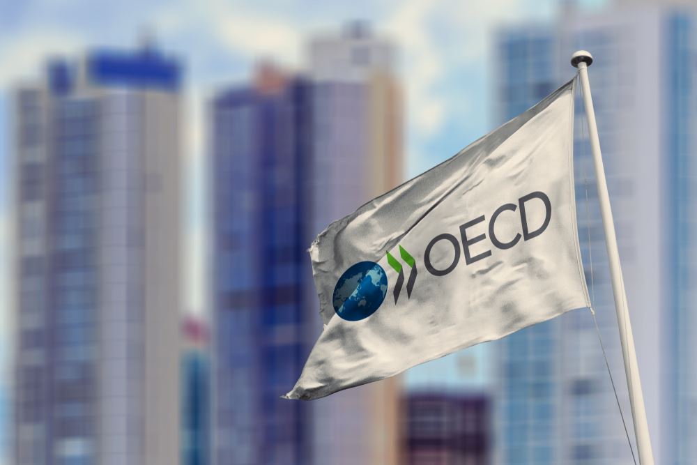 OECD’den küresel ekonomi ve Türkiye için ılımlı büyüme tahmini