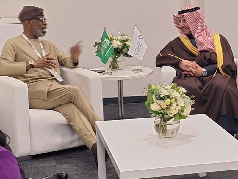  Cooperation between Nigeria and Saudi Arabia on iron ore