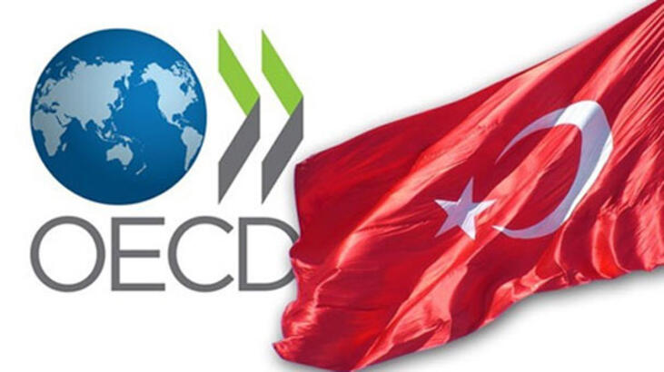 OECD Türkiye'de Bu Yıl Yüzde 4,8 Daralma Bekliyor