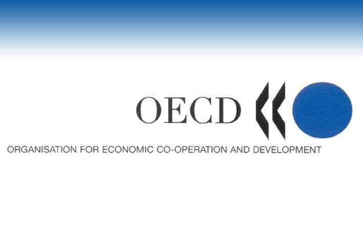 OECD'den Türkiye İçin Büyüme Tahmini