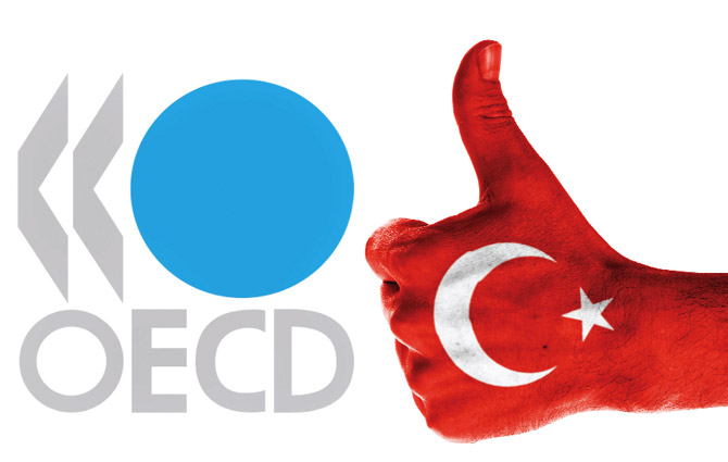 OECD'nin En Büyüğü Türkiye